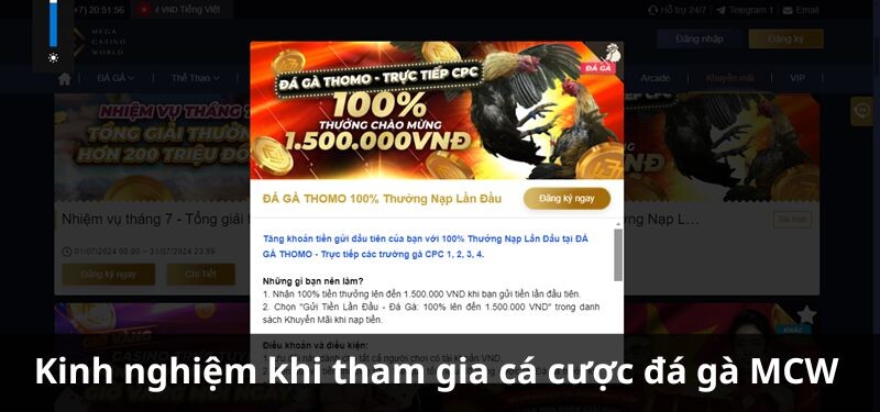 Kinh nghiệm khi tham gia cá cược đá gà MCW