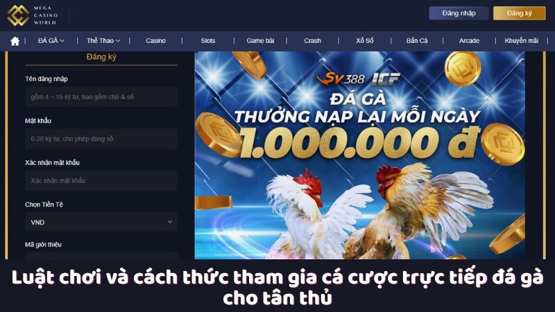 Luật chơi và cách thức tham gia cá cược trực tiếp đá gà cho tân thủ