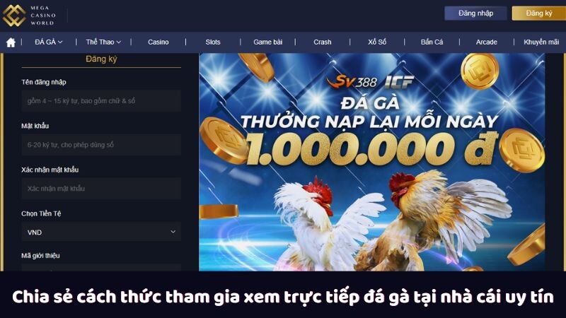 Chia sẻ cách thức tham gia xem trực tiếp đá gà tại nhà cái uy tín