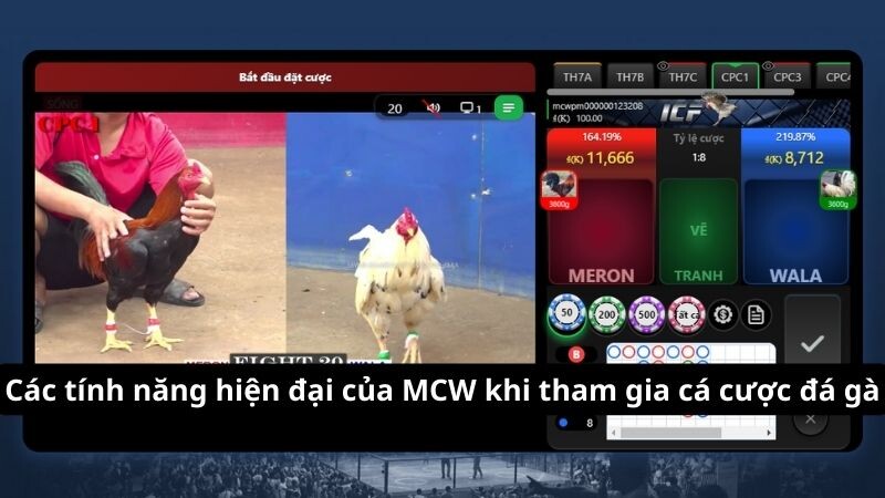 Các tính năng hiện đại của MCW khi tham gia cá cược đá gà