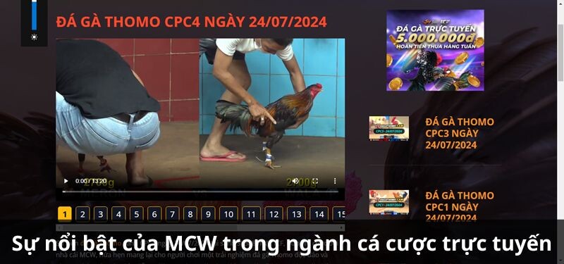 Sự nổi bật của MCW trong ngành cá cược trực tuyến